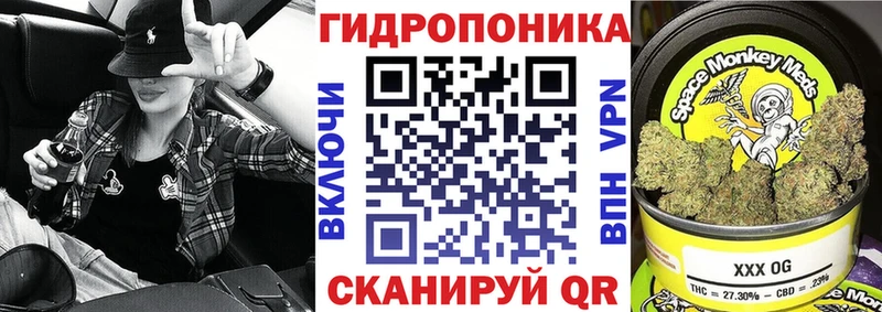 Купить закладку Метамфетамин  Мефедрон  Alpha PVP  Дмитровск