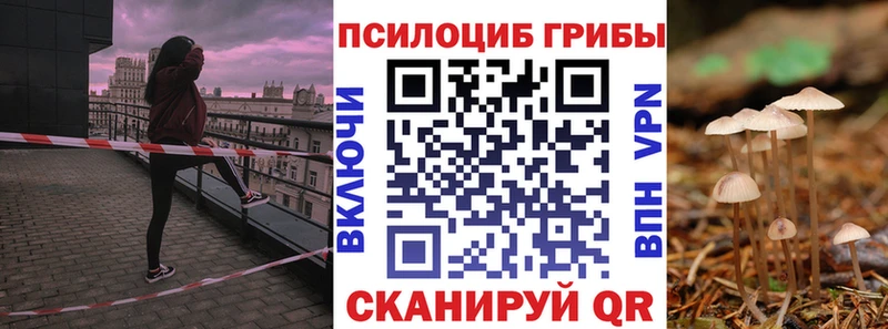 Псилоцибиновые грибы мицелий  Купить где  Дмитровск 